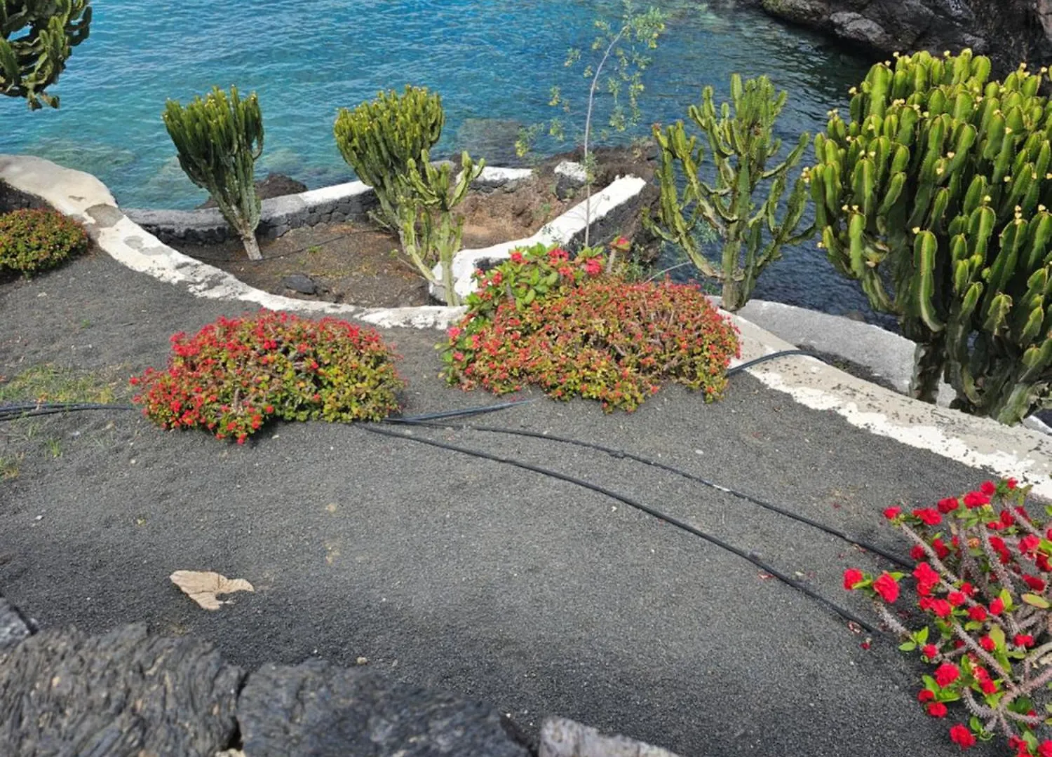 Lanzarote Apartment Rental Harbour View Tias Spain